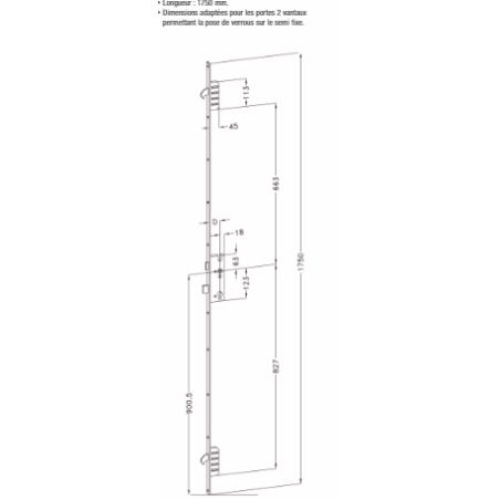 2751809 WINKHAUS serrure à relevage - axe 30 / L1750 / 2 crochets / T.U 24X6