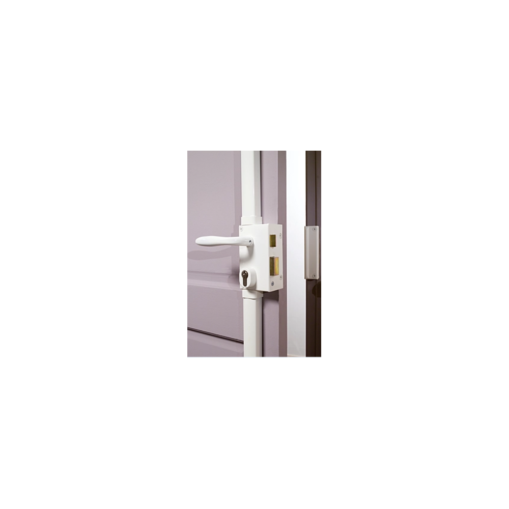 Serrure multipoints en applique BRICARD